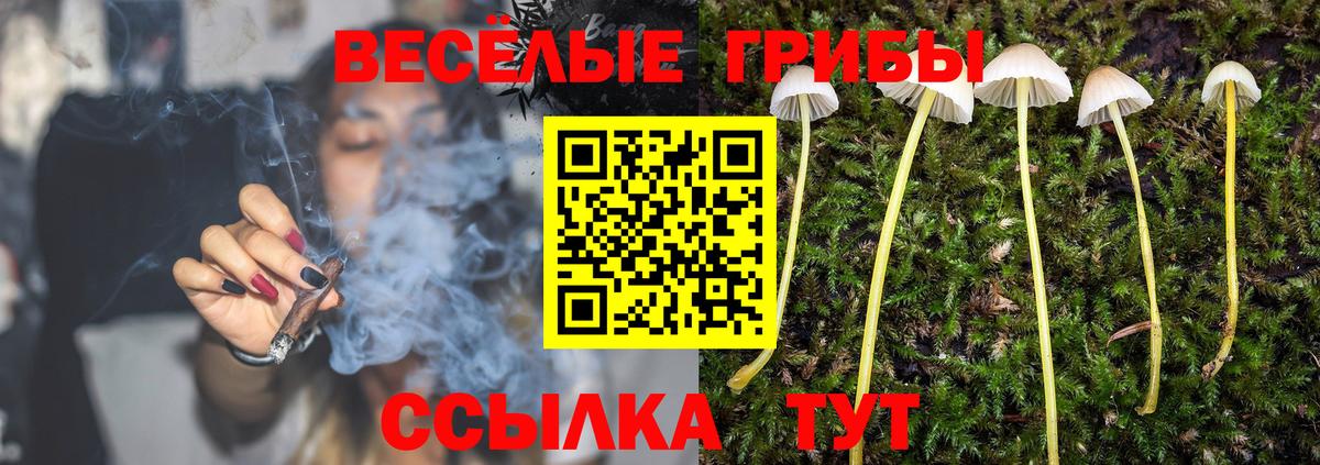 Каменск-Шахтинский  Псилоцибиновые грибы Cubensis  наркотики  Вход с VPN 